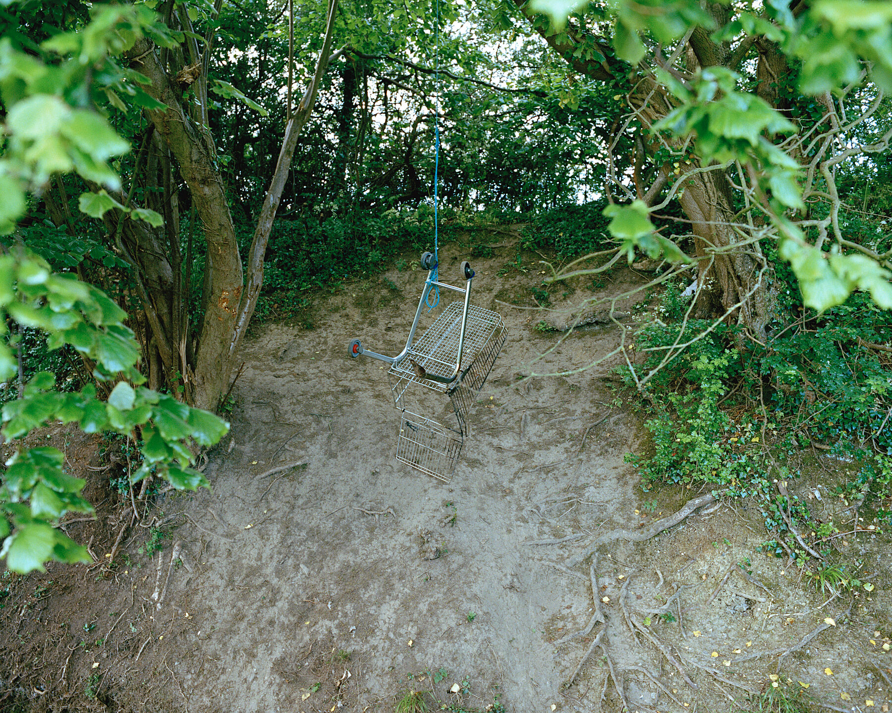 The ditch