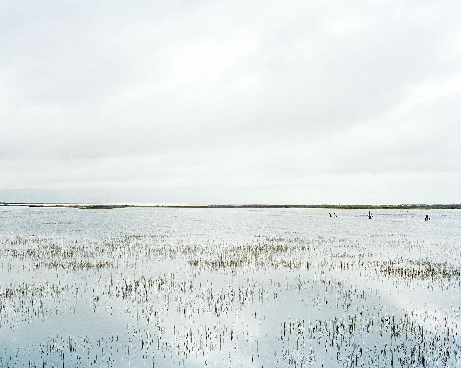 The Perigean Tide