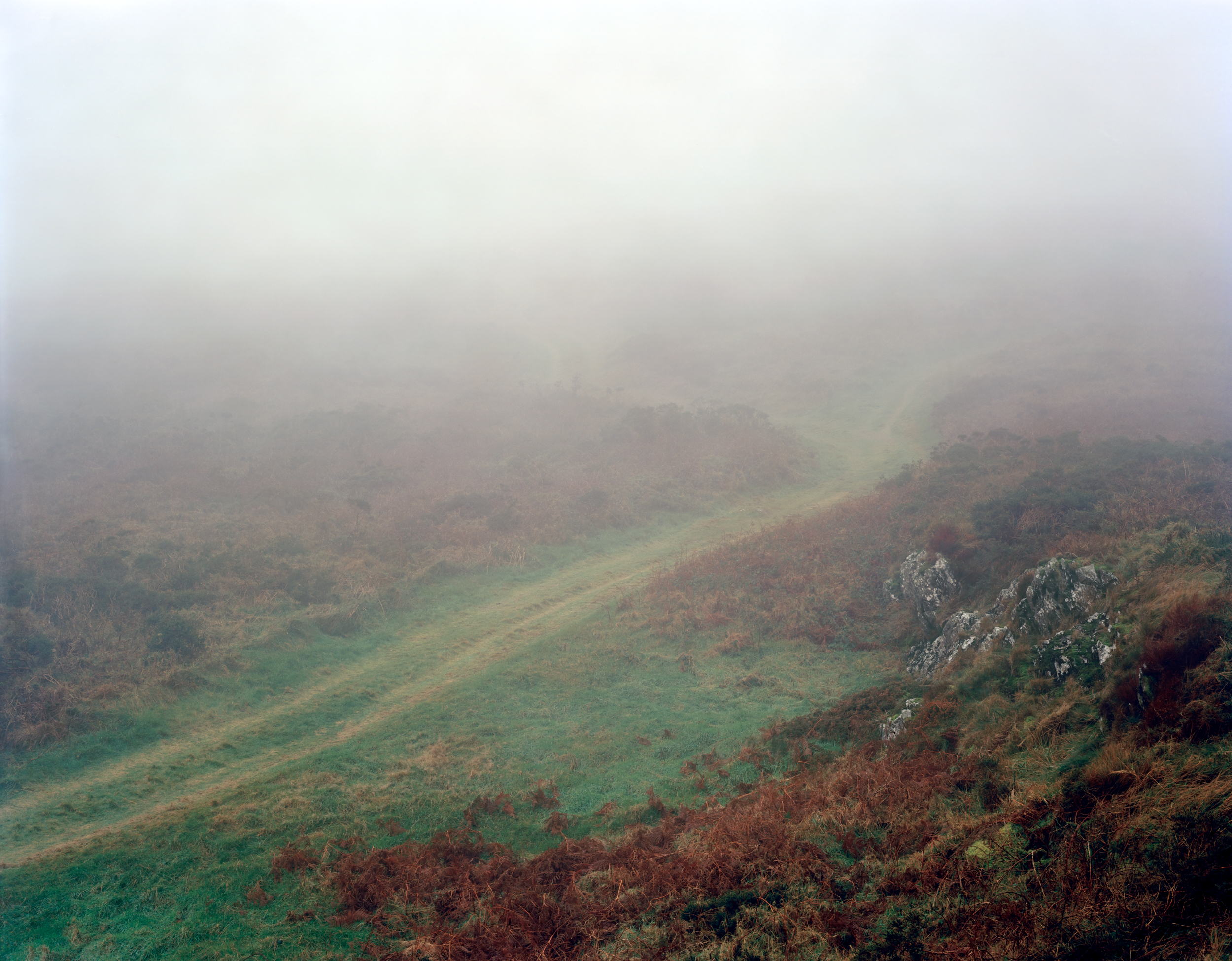 Slieve Coillte