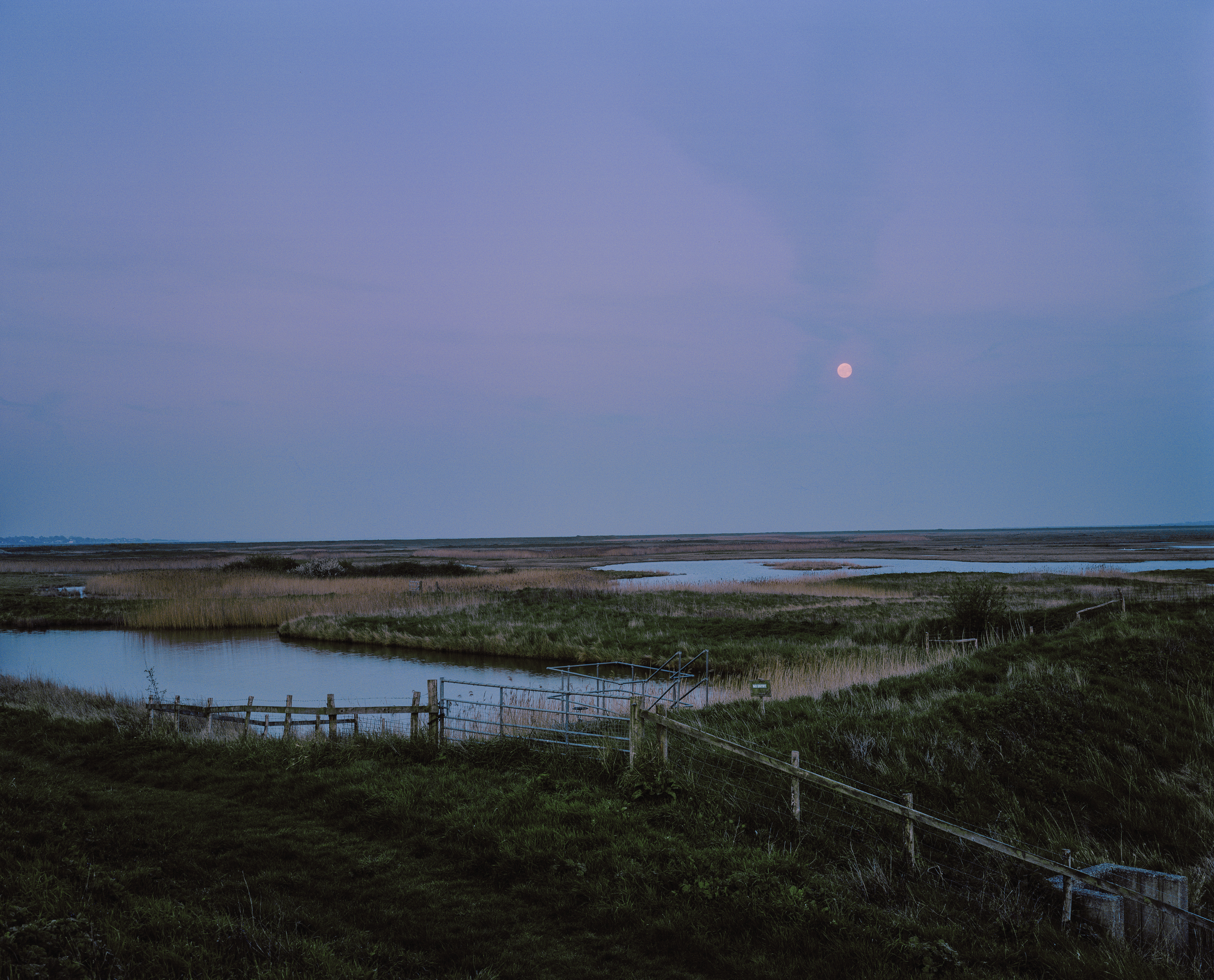 Flower Moon Rising
